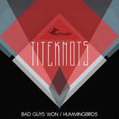 Bad Guys Won / Hummingbirds