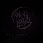 Selfdestruction
