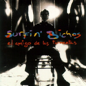 El Amigo De Las Tormentas by Surfin' Bichos