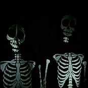 Connor Martin's Album