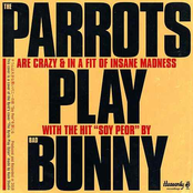 The Parrots: Soy Peor