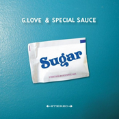 Sugar by G. Love & Special Sauce