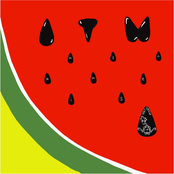 Allergic to Watermelon - Single