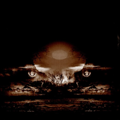 a blasphemous light in the austere centuries