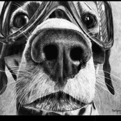 The Sound of the Barkervillz - Moviescape special