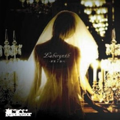 Labyrinth-迷宮ノ調ベ-