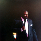 robin harris