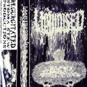 Liquidised / Urinary Tract Infection From Severe Pus Clots