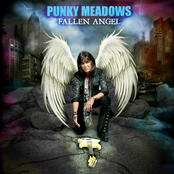 Punky Meadows: Fallen Angel