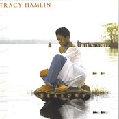 Tracy Hamlin: Seasons by Tracy Hamlin