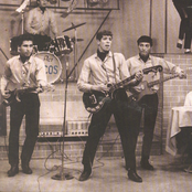 El Entierro De Los Gatos by Los Saicos