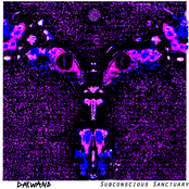 Subconscious Sanctuary