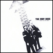 Fields Of Albany by The May Bees