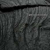 not to lead nor to follow