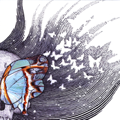 Butterfly Revolutions, Vol. 2