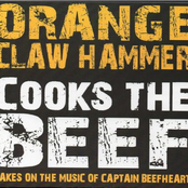 Orange Claw Hammer Cooks the Beef
