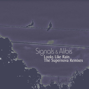 Looks Like Rain (The Supernova Remixes)