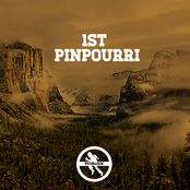 PINPOURRI: Pinmusik 1st Labelsampler