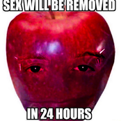 SEX REMOVER