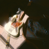 ivytide: green light