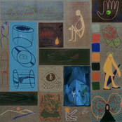 Sunlight Filtered Through the Tree in My Window