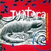 Tuatara - A Flying Nun Compilation