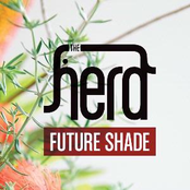 Future Shade by The Herd