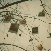 i wish i had more pictures of you