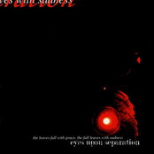 The Leaves Fall With Grace, the Leaves Fall With Sadness