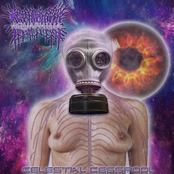 Celestial Cesspool