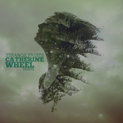 Strange Fruits, Catherine Wheel Tribute