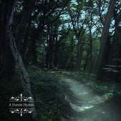 A Forest Hymn