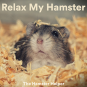 Relax My Hamster