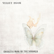 Endless War In The Summer