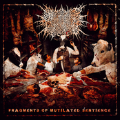 Fragments Of Mutilated Sentience