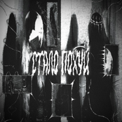 стало похуй