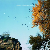 Adorno / Sugartown Cabaret