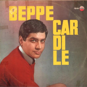 Beppe Cardile