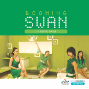 Booming Swan