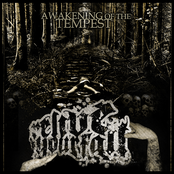 Awakening of the Tempest