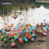 Hummingbird by Caribou