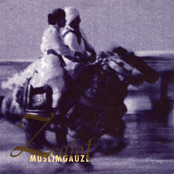 Zia Rust by Muslimgauze