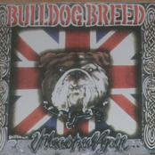 A Way Of Life by Bulldog Breed