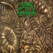 The Forbidden (Demo)