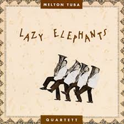 Lazy Elephants