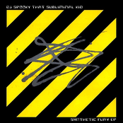 Synthetic Fury by Dj Spooky