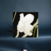 Warm Soup At The Big Rain