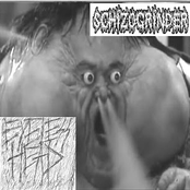 Schizogrinder / Eyeless Head