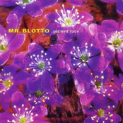 Mr. Blotto: Ancient Face