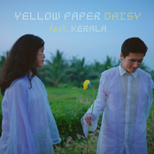 When Chai Met Toast: Yellow Paper Daisy